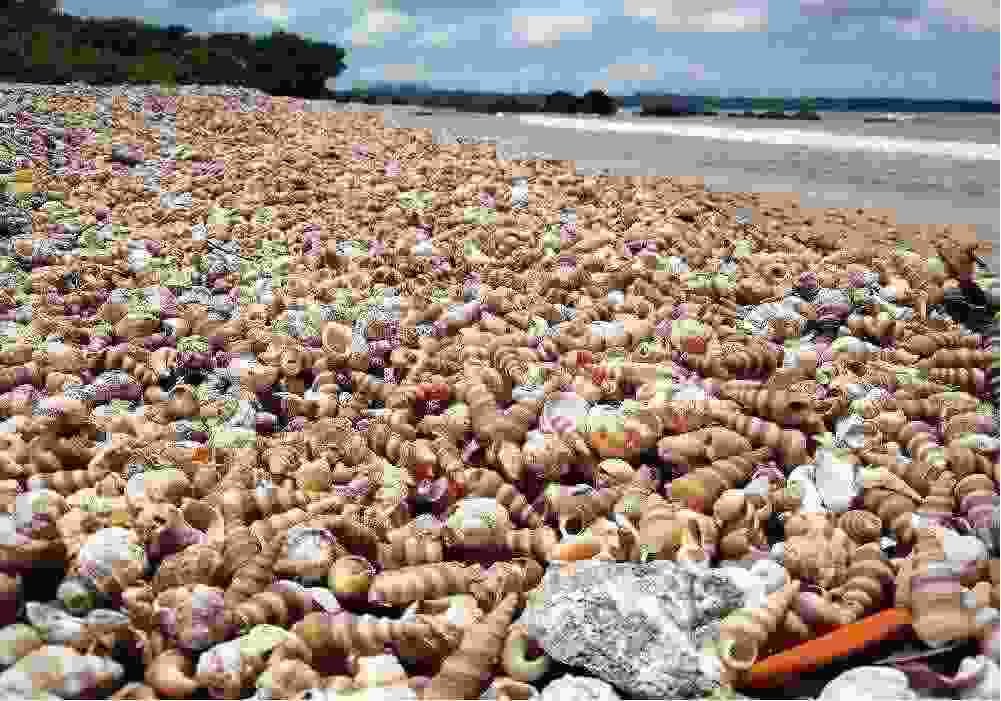 Chittorgarh to Goa Tour Package